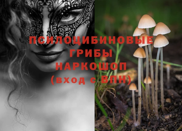 мдпв Белокуриха