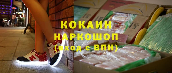 мдпв Белокуриха